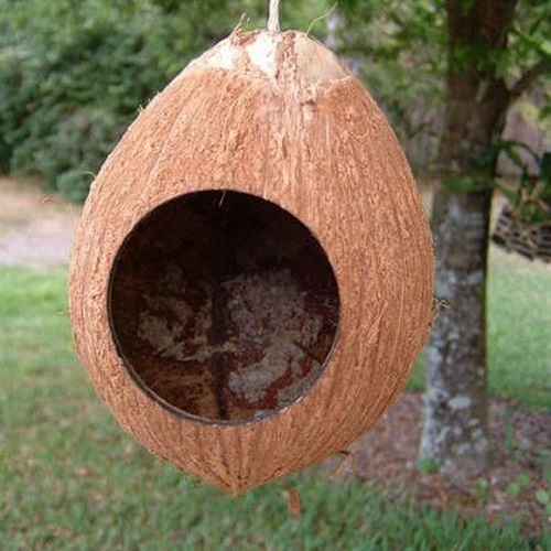 Coco Peat Products