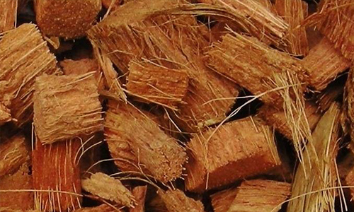 Coconut Husk Chips