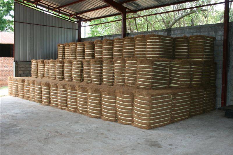 Coir Fiber Bales